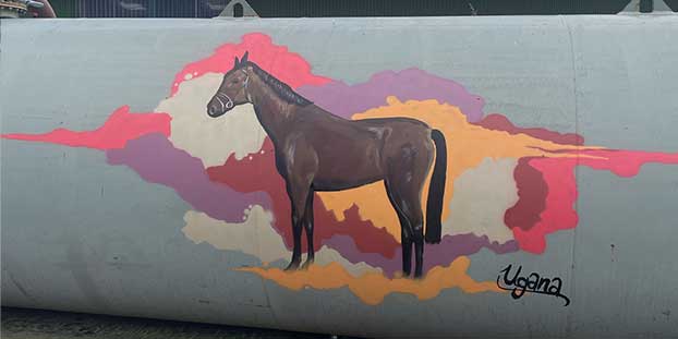 Pferd Motiv auf einem Gülletank